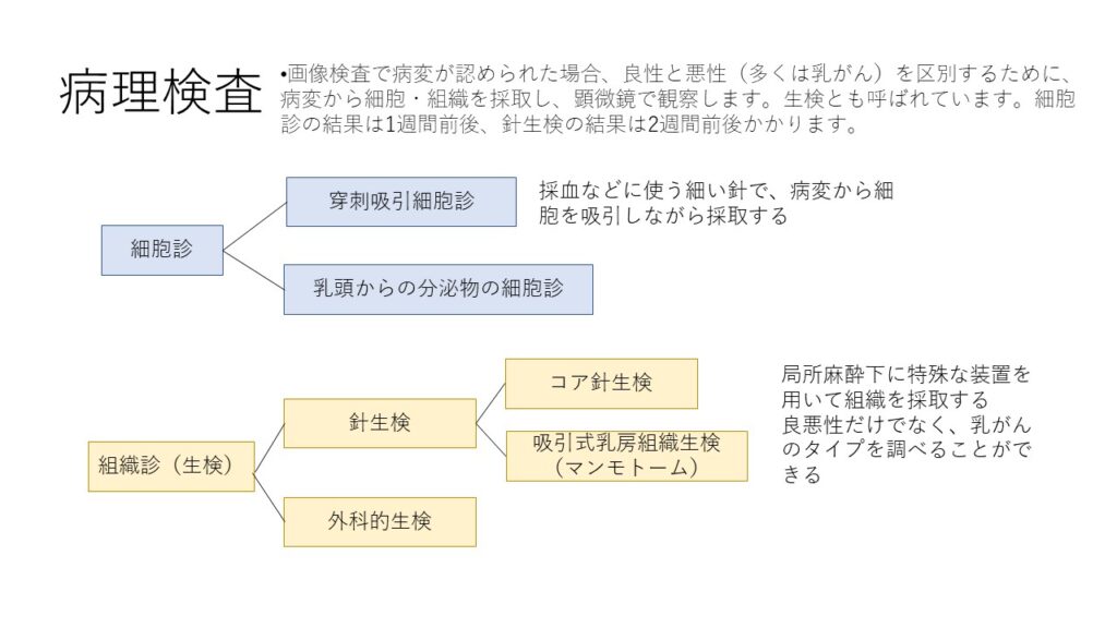 肝生検とは何ですか?